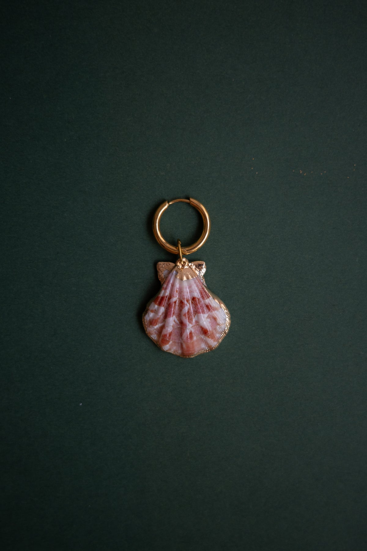 Single Hoop Coral Shell