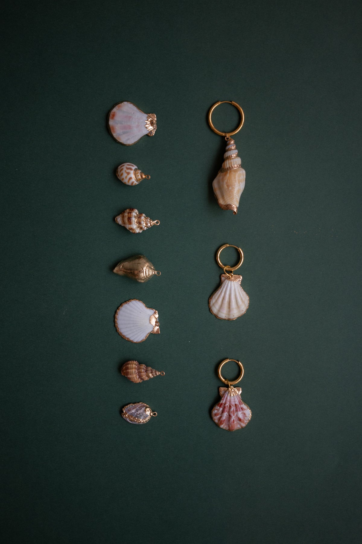 Single Hoop Coral Shell