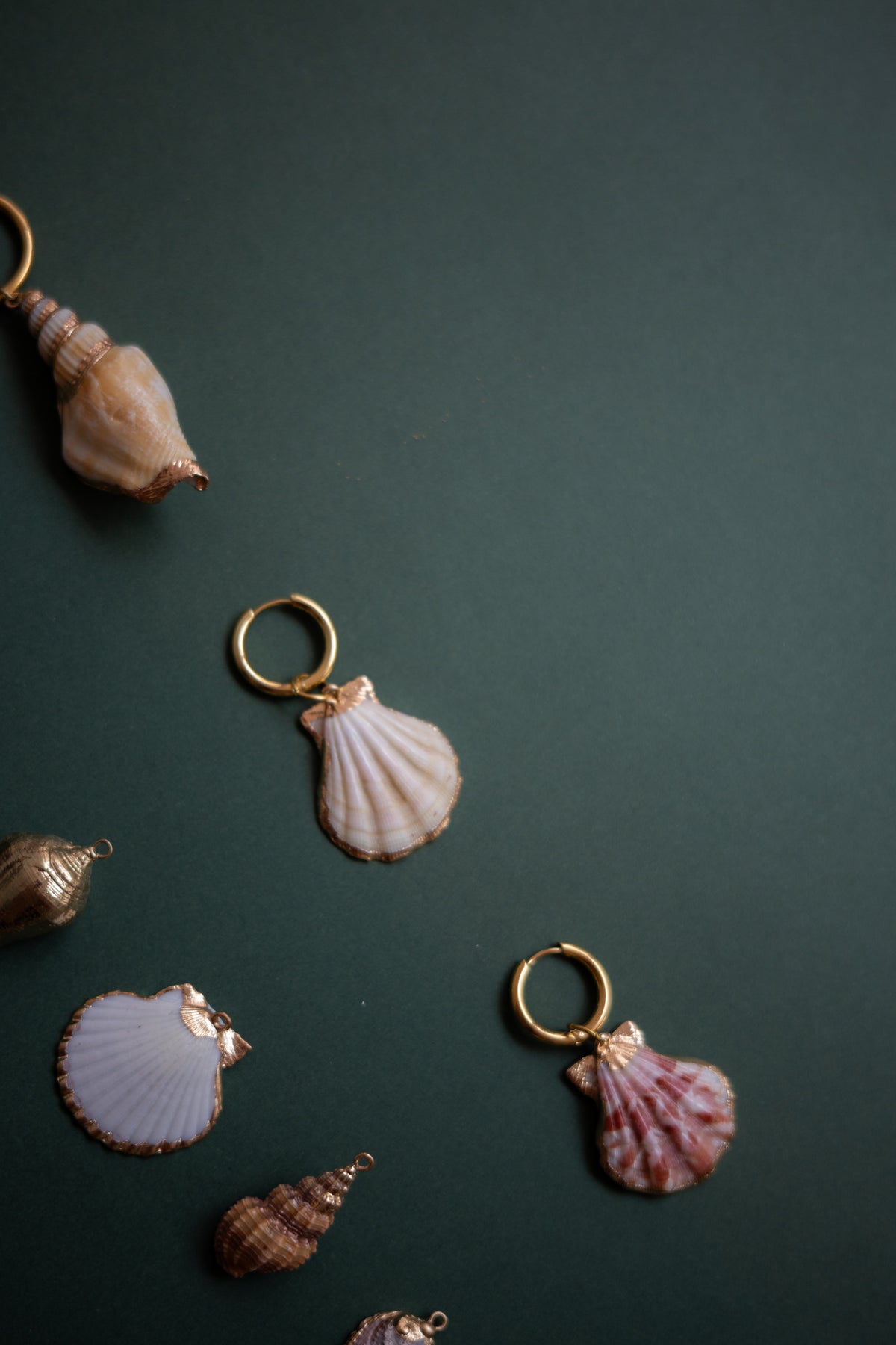 Single Hoop Coral Shell