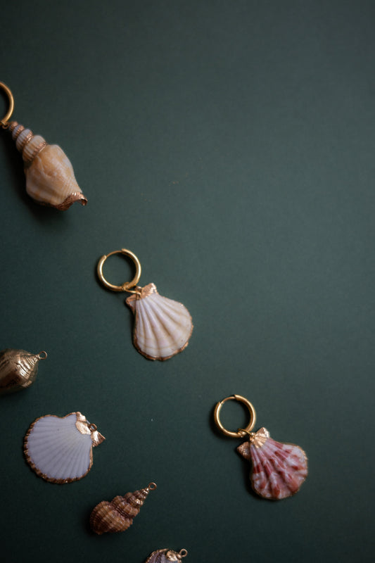 Single Hoop Coral Shell