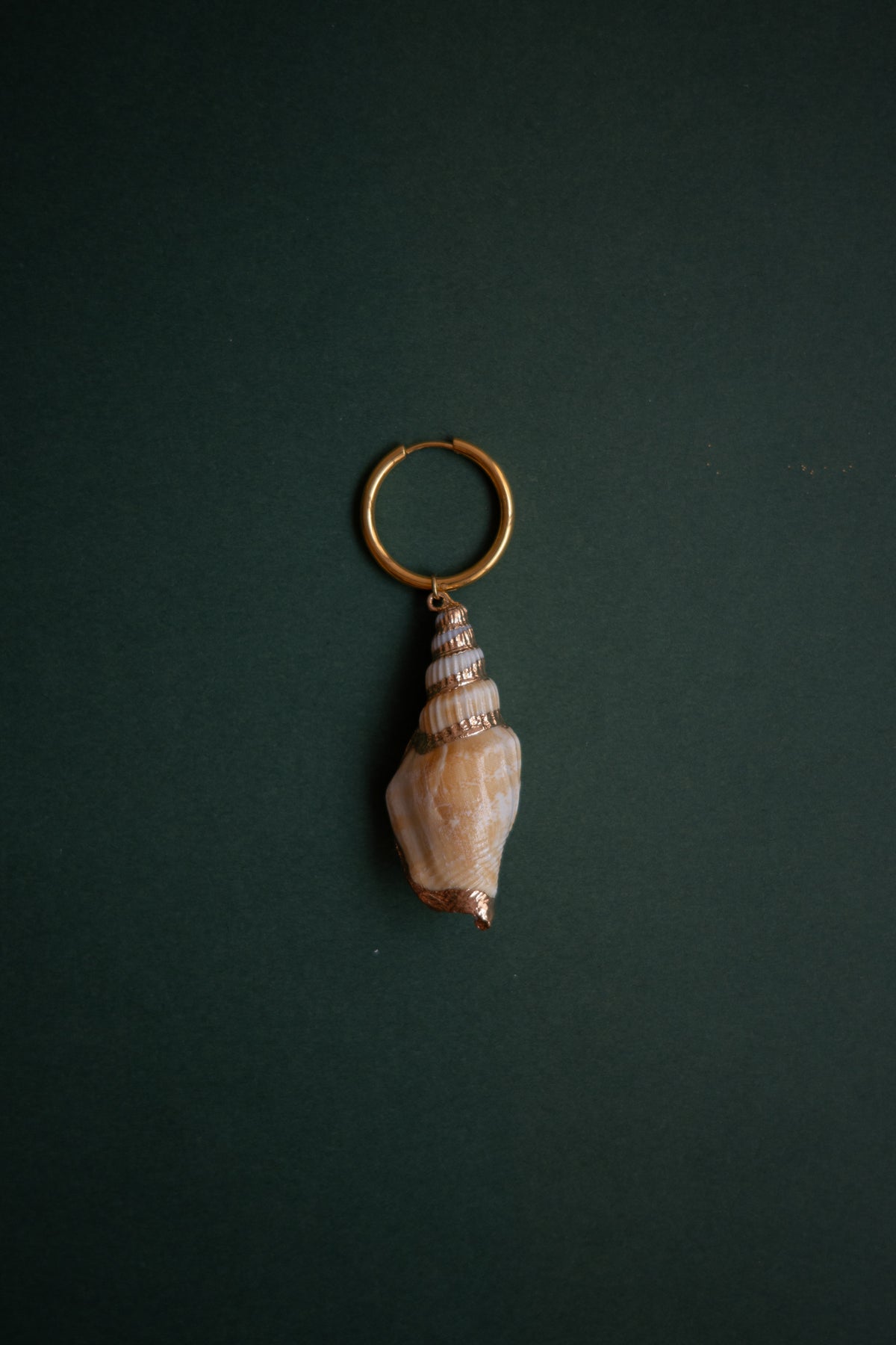 Single Hoop Long Shell