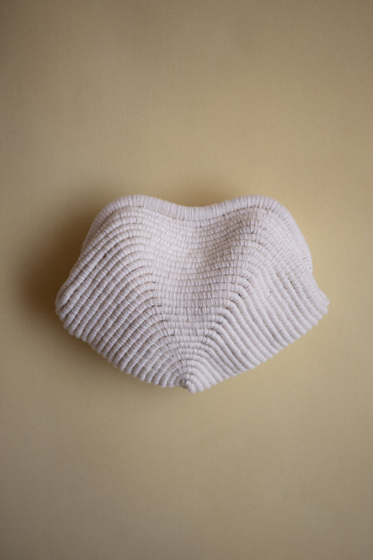 OYSTER SHELL