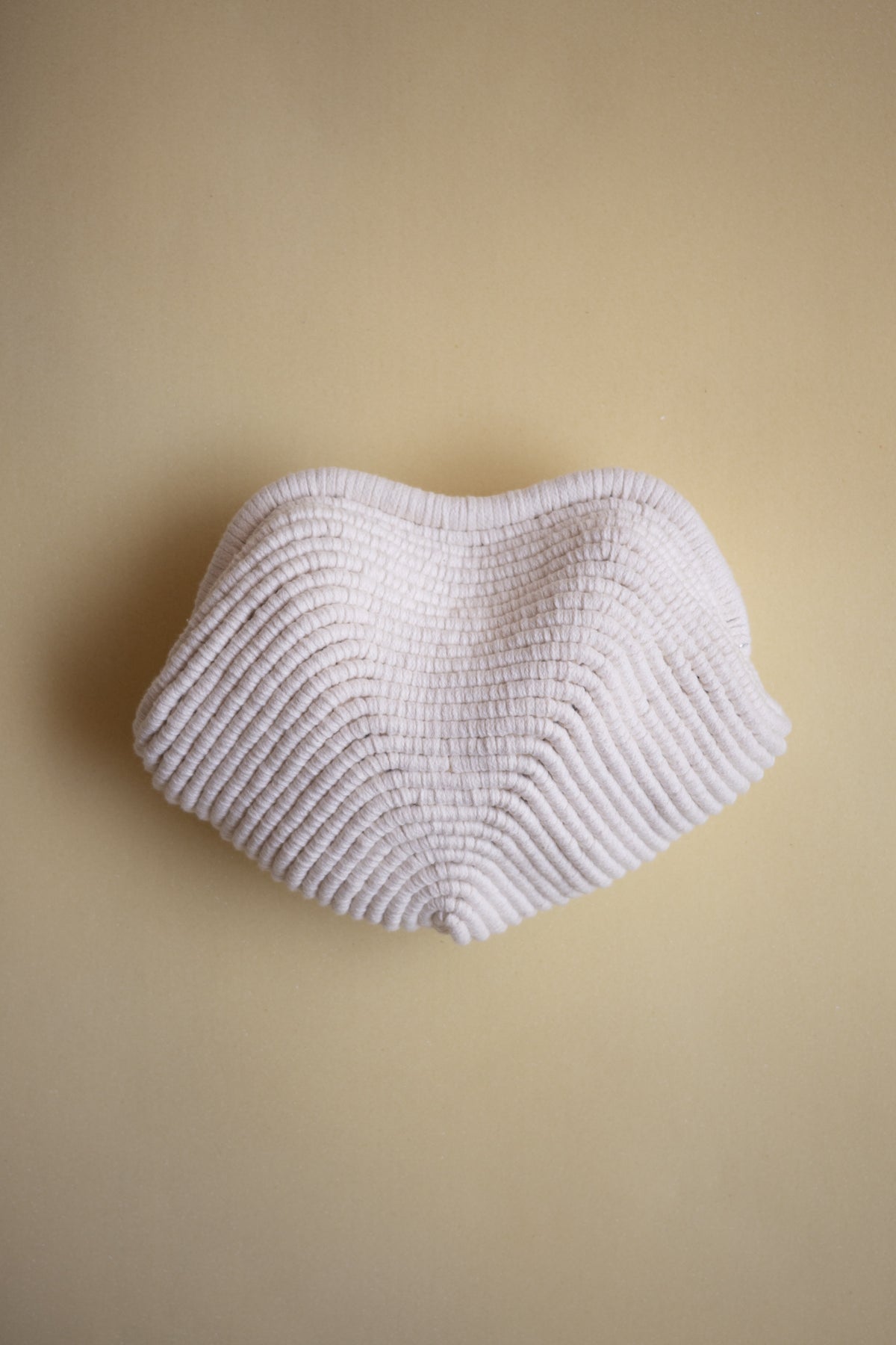 OYSTER SHELL