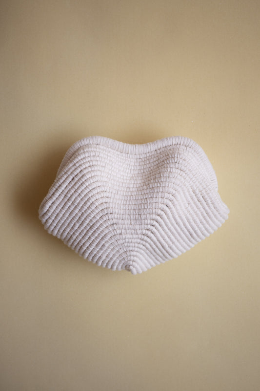 OYSTER SHELL