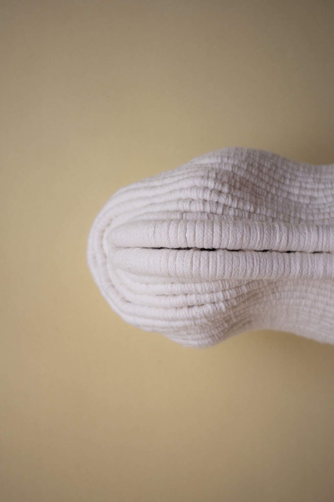 OYSTER SHELL
