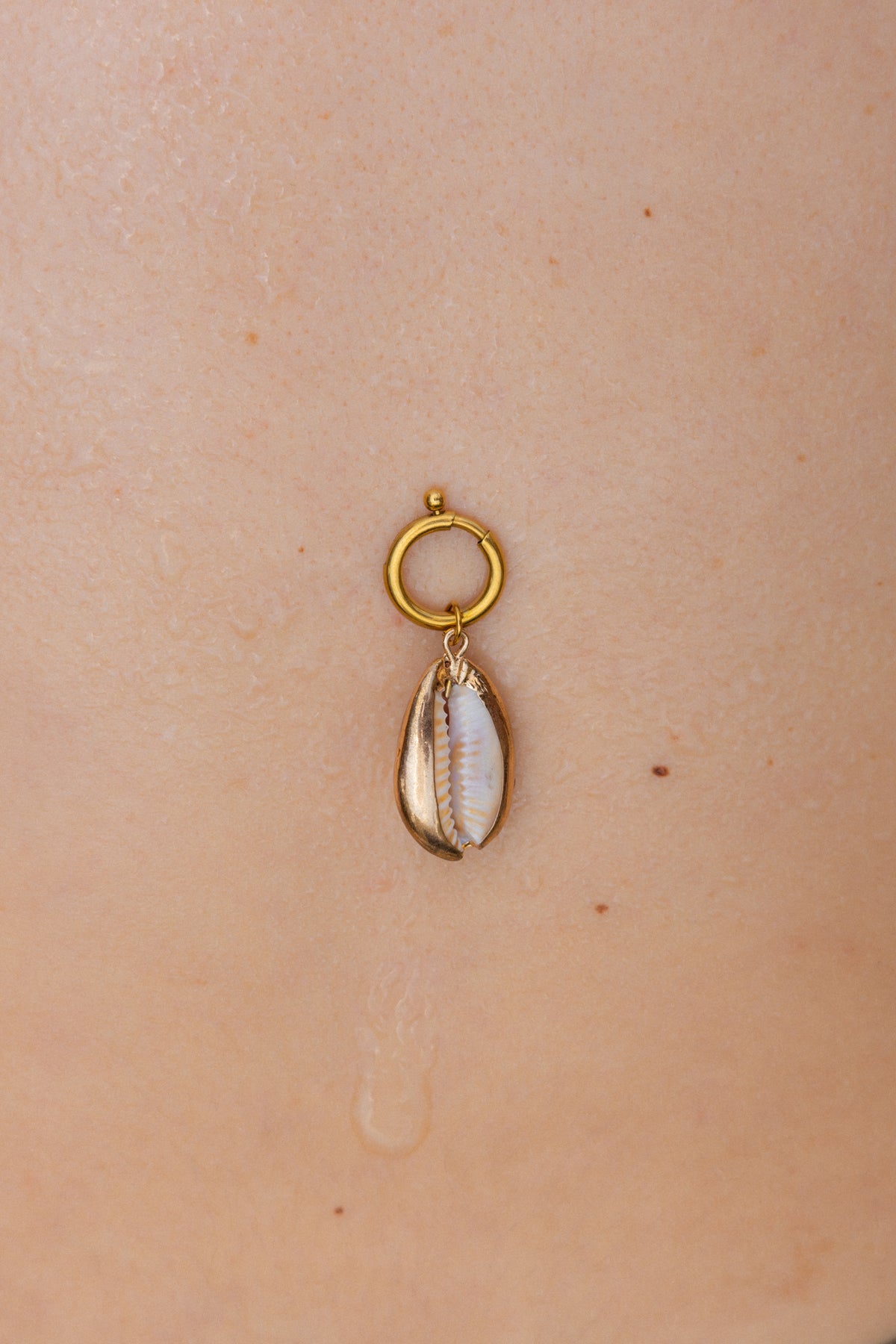 Shell Charm