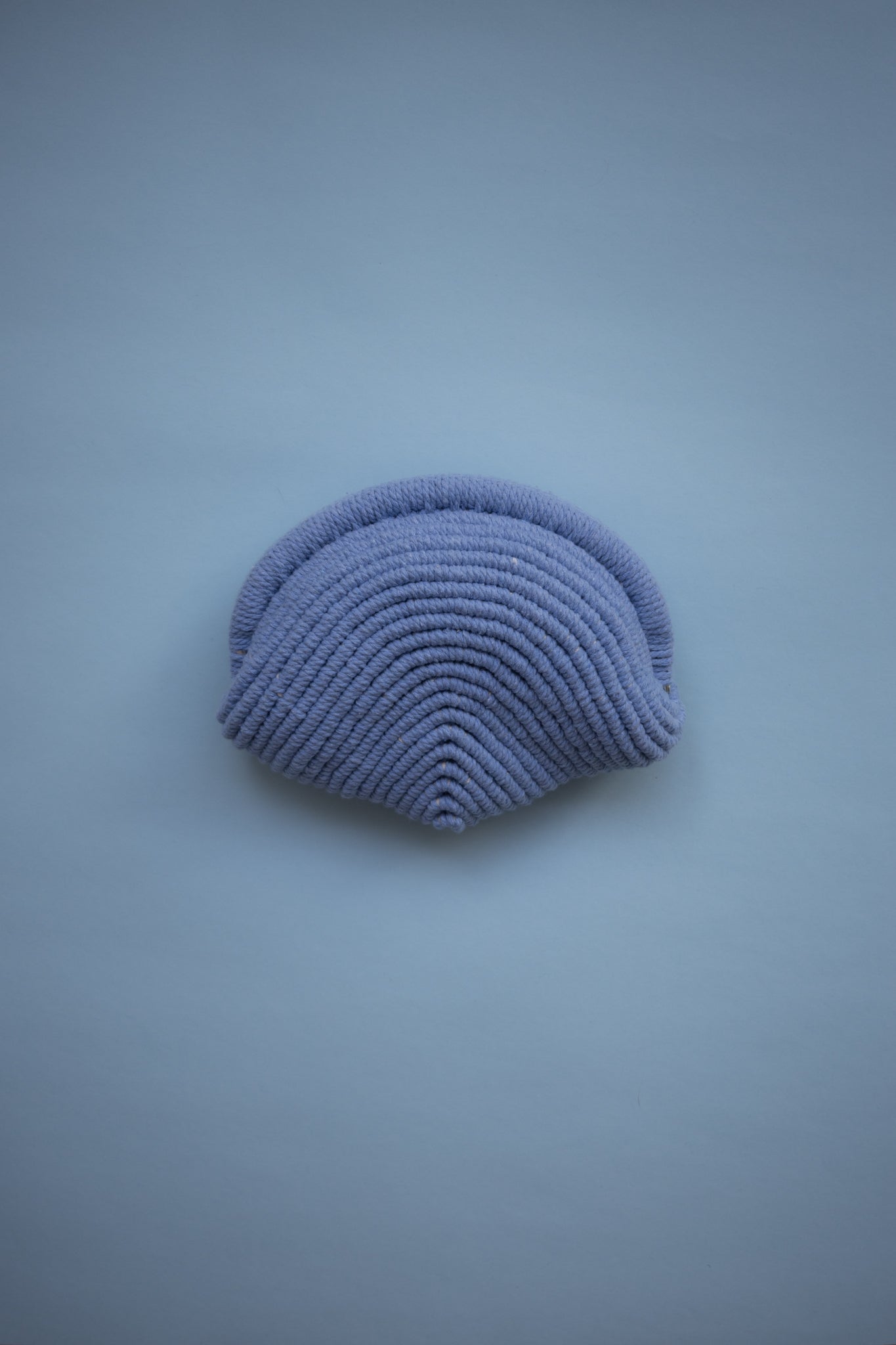 BABY BLUE CLAM