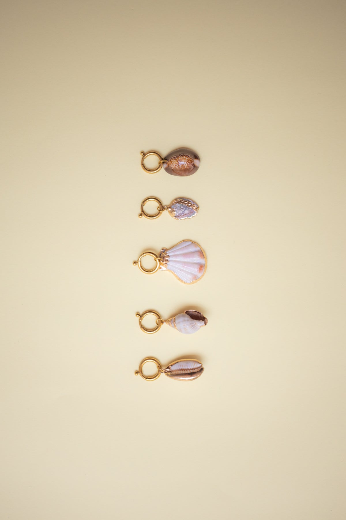 Shell Charm