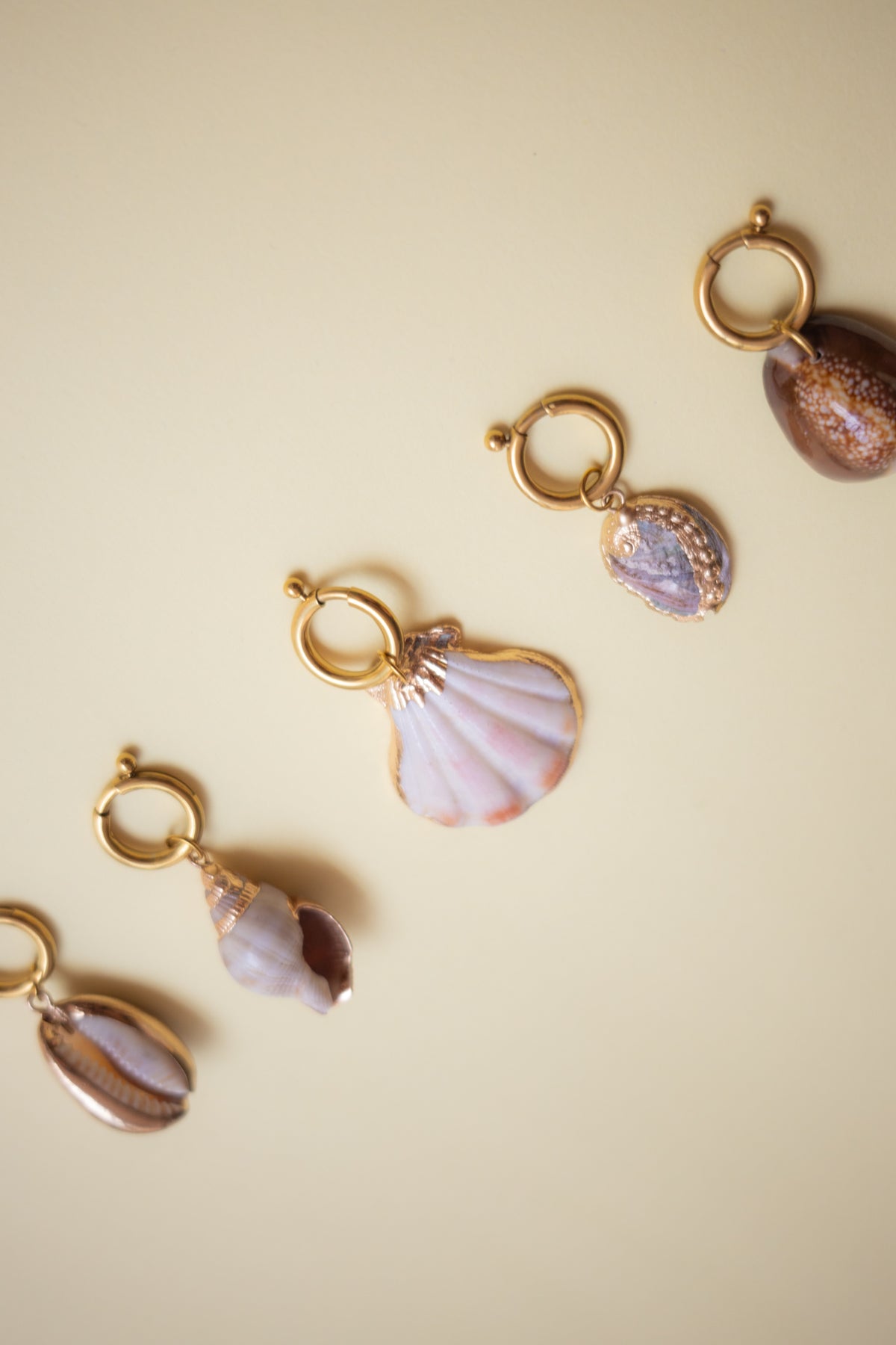 Shell Charm